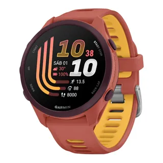 Garmin Modelo no publicado