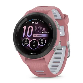 Garmin Modelo no publicado