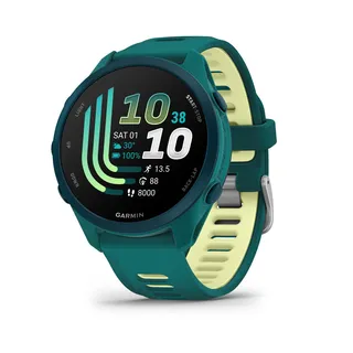 Garmin Modelo no publicado