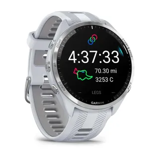 Garmin Modelo no publicado