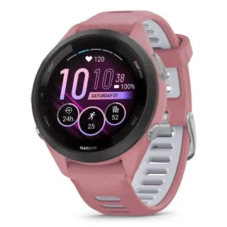 Garmin Modelo no publicado