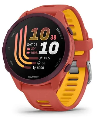 Garmin Modelo no publicado