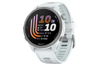 Garmin Modelo no publicado