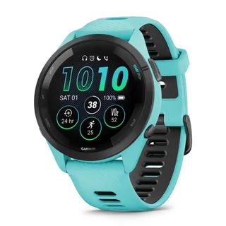 Garmin Modelo no publicado