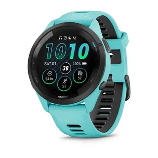 Garmin Modelo no publicado